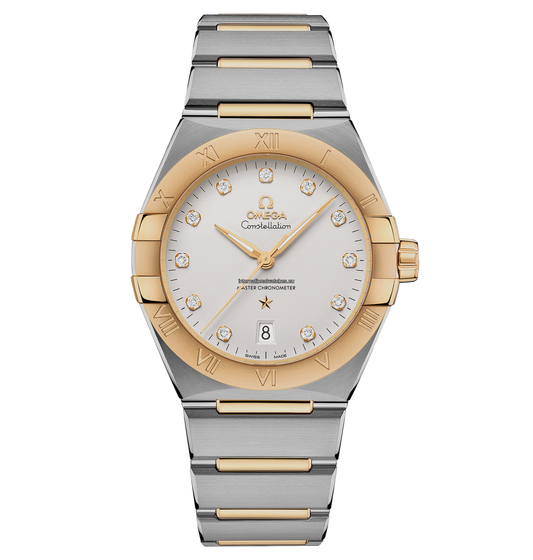 Constellation 39 mm, steel - yellow gold on steel - yellow gold - 131.20.39.20.52.002
