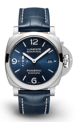 PAM01313