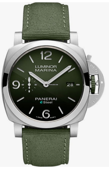 PAM01356