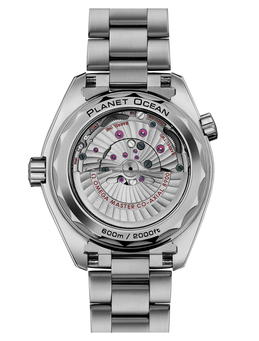 Seamaster Planet Ocean 600M 43.5 mm, titanium on titanium - 215.90.44.21.99.001